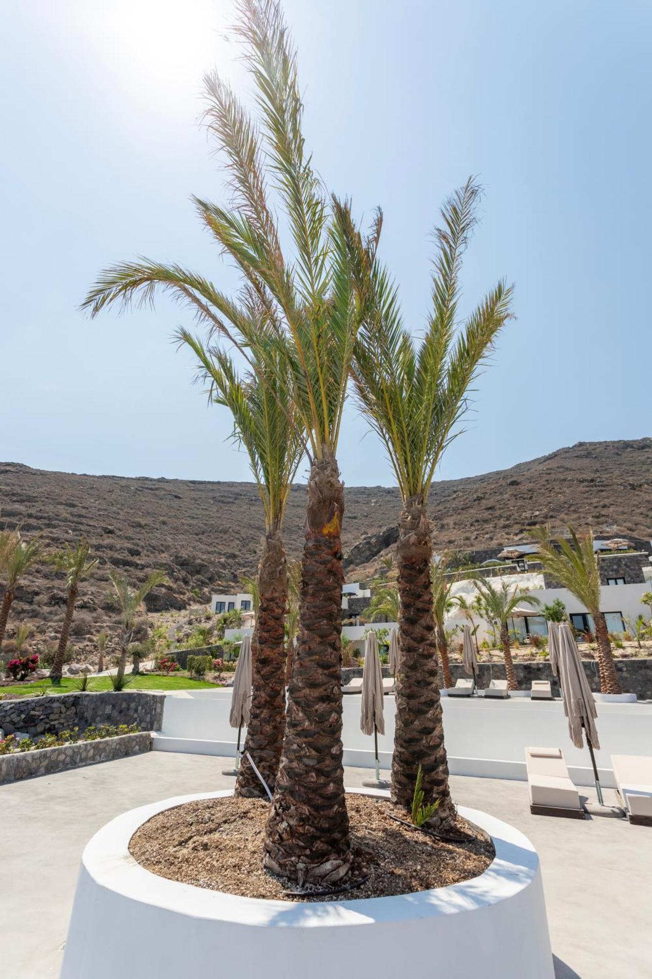 Palm Island Suites Imerovigli  Eksteriør billede